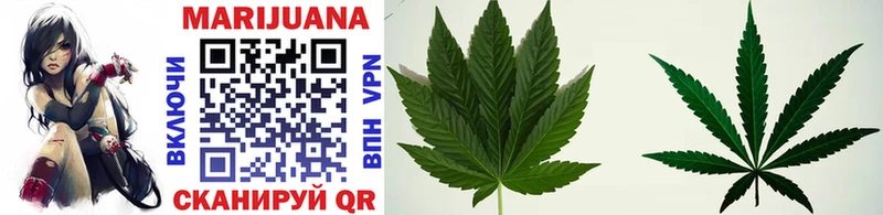 Где продают наркотики Гатчина Alpha-PVP МЕФ МАРИХУАНА Cocaine