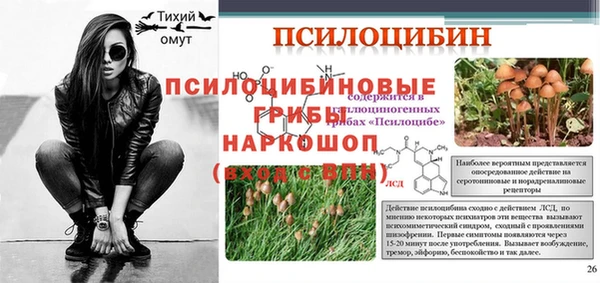 СК Белокуриха