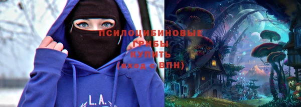 СК Белокуриха