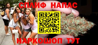сатива Лесосибирск