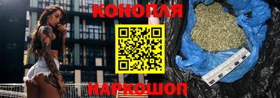 сатива Лесосибирск