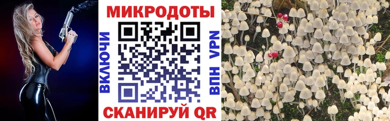 Галлюциногенные грибы мухоморы  Гатчина 