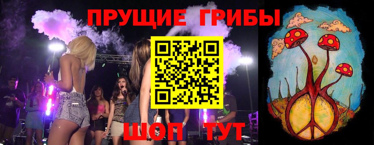 Галлюциногенные грибы прущие грибы Гатчина